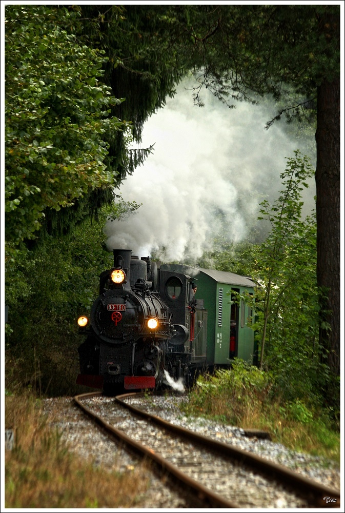 Auf der Feistriztalbahn fhrt die ex bosnische Dampflok 83-180 mit einem Dampfbummelzug von Weiz nach Birkfeld. 
Rosegg 2.9.2010 