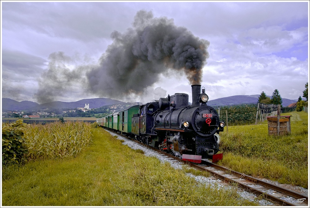 Auf der Feistriztalbahn fhrt die ex bosnische Dampflok 83-180 mit einem Dampfbummelzug von Weiz nach Birkfeld. 
Weiz 2.9.2010 

