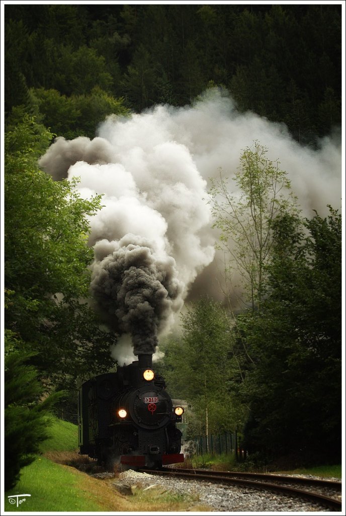 Auf der Feistriztalbahn fhrt die ex bosnische Dampflok 83-180 mit einem Dampfbummelzug von Weiz nach Birkfeld. 
Koglhof 2.9.2010 