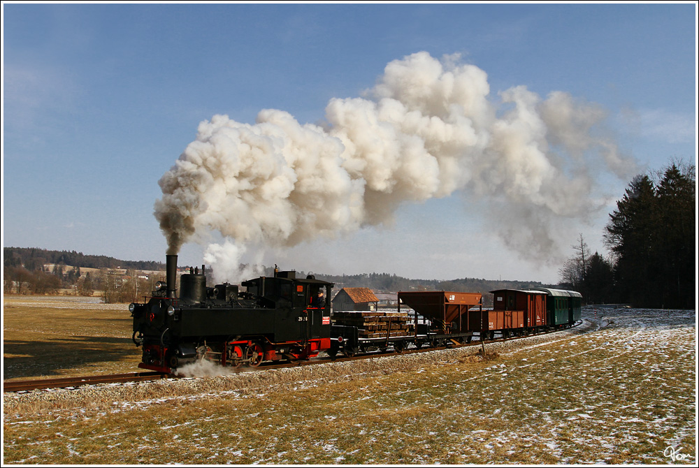 Auf der Stainzerbahn fhrt 298.56 mit einem Foto GmP von Preding nach Stainz. Herbersdorf 5.2.2012 

