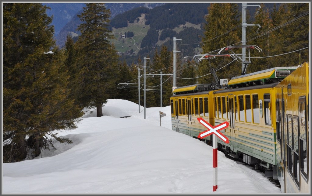 Auf Talfahrt zwischen Bannwald und Allmend oberhalb von Wengen, (25.04.2012)