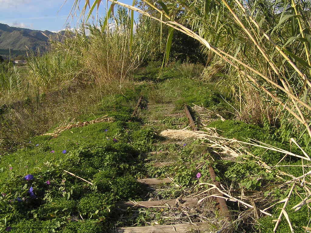 Aufgelassene Strecke Alcantara<>Randazzo bei Trappitello (02.12.2012)
