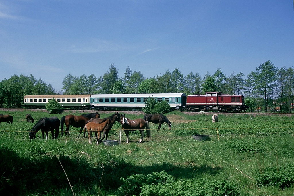 Aus dem Dia-Archiv: Die von Saalburg kommende 202 416, unterwegs mit RB8659 vor Schleiz West, am 29.05.1996. 