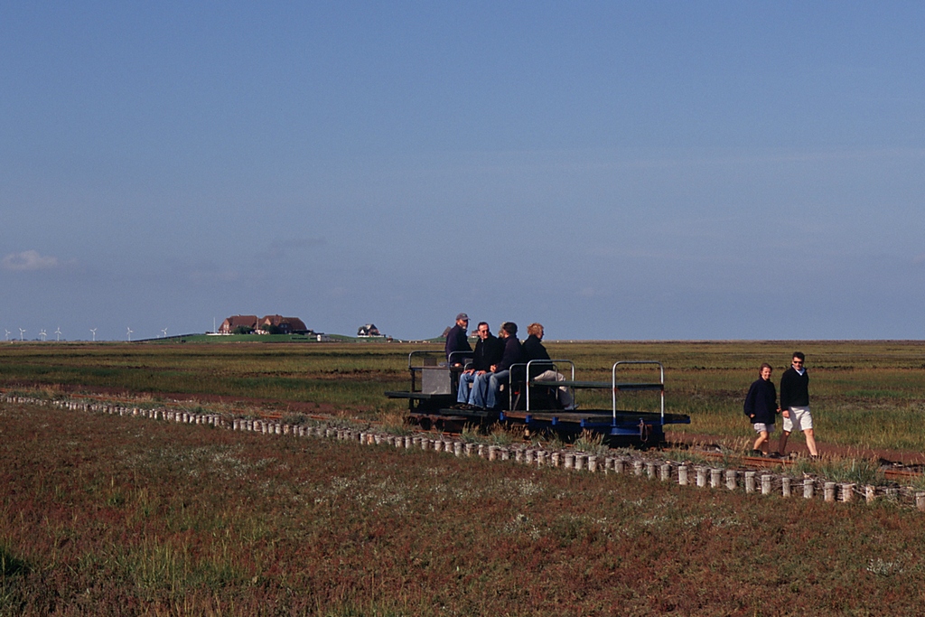 Aus dem Dia-Archiv: Halligbahn Lttmoorsiel - Nordstrandischmoor / Ein Lorenzug, geschoben von Lore 1, fhrt parrallel zum Weg ins Watt Richtung Festland. Im Hintergrund die Warften der Hallig Nordstrandischmoor. (10.09.2006)