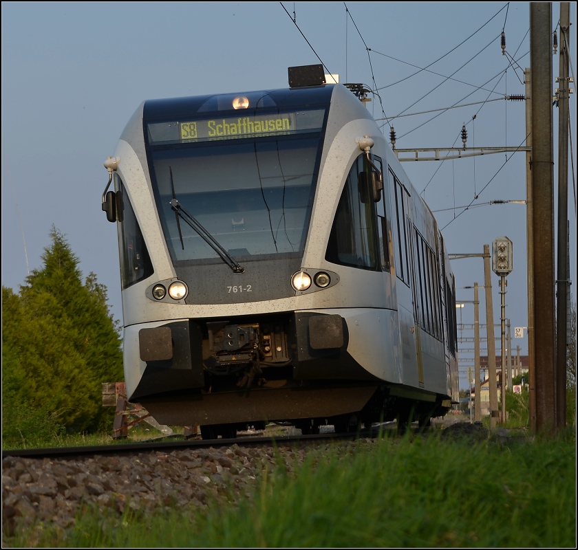 Aus dem Stammland des GTW (IV). S8 Richtung Schaffhausen legt sich in die Kurve bei der Ausfahrt des Bahnhofs Tgerwilen-Gottlieben. April 2011.