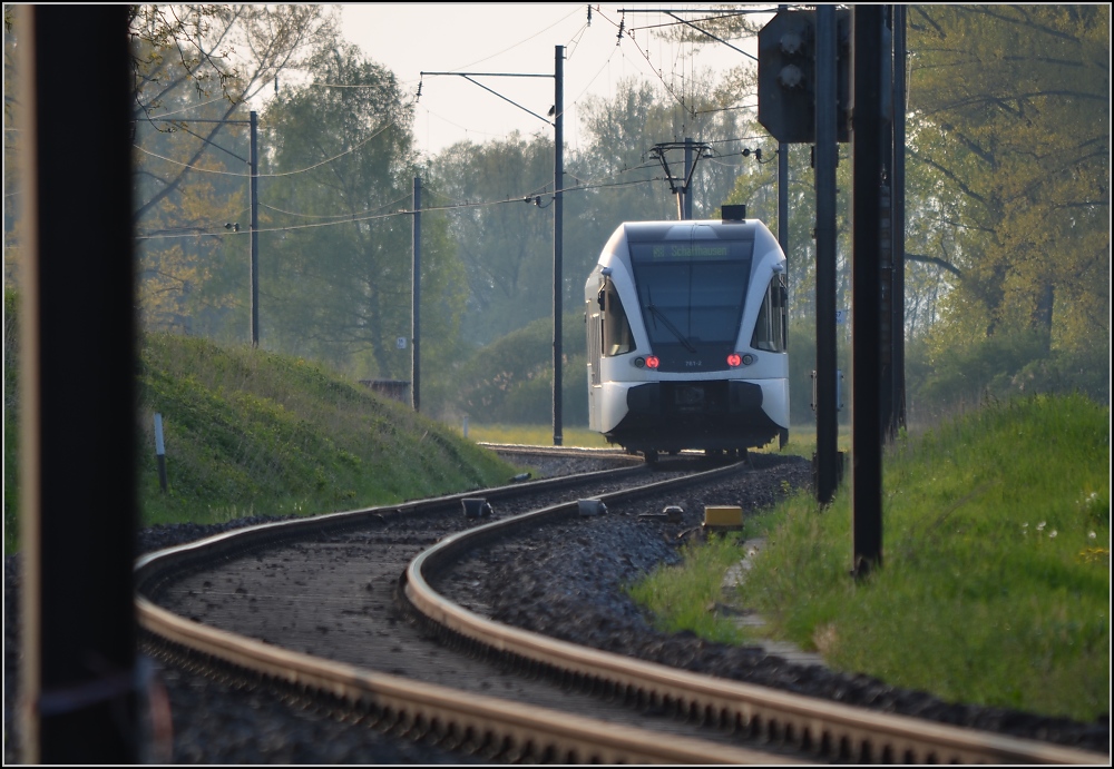 Aus dem Stammland des GTW (V). S8 Richtung Schaffhausen erreicht schon fast Triboltingen. April 2011.