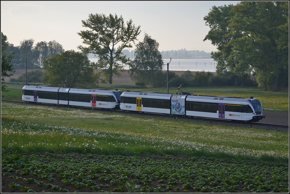 Aus dem Stammland des GTW (VIII). S8 nach Rohrschach mit Reichenau im Hintergrund. April 2011. 