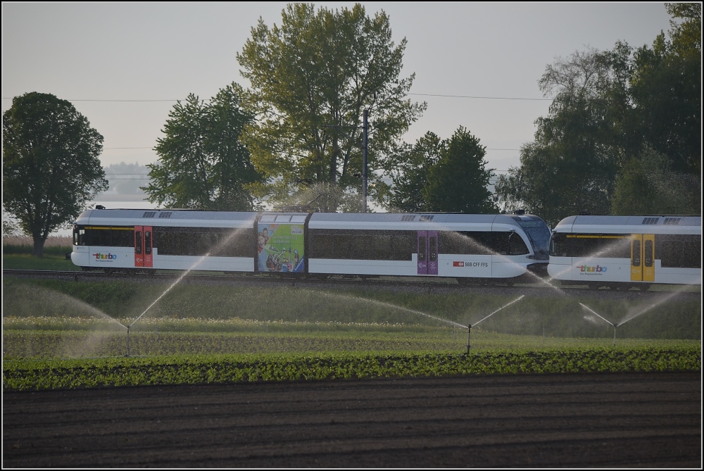 Aus dem Stammland des GTW (X). Motiv verdeckt... S3 nach Schaffhausen im trockenen Frhjahr. April 2011.