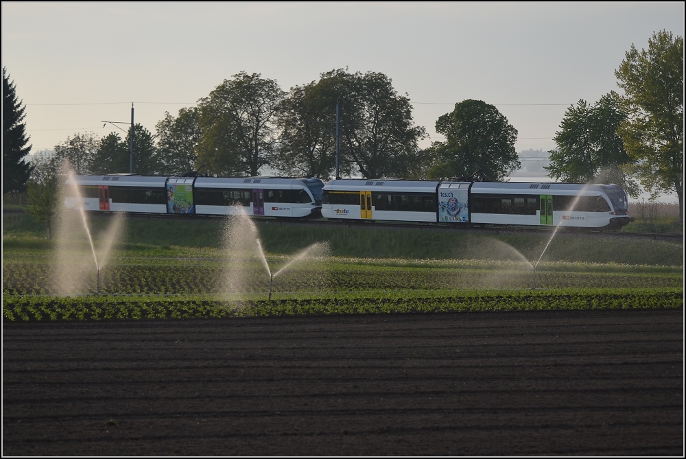 Aus dem Stammland des GTW (XI). Motiv verdeckt... S3 nach Schaffhausen erreicht gleich Triboltingen. April 2011.