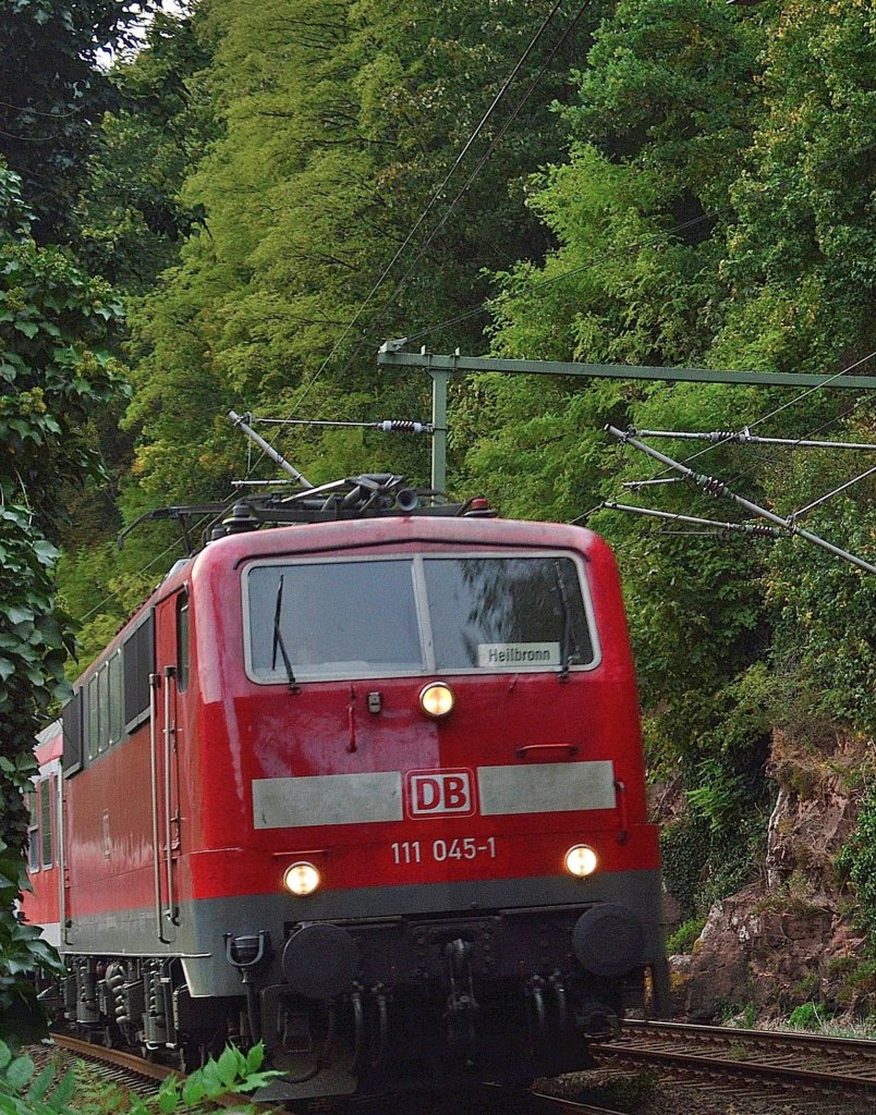 Aus Heidelberg kommend fhrt die 111 045-1 eine RE in Richtung Heilbronn bei Zwingenberg ist sie hier zu sehen.21.9.2012