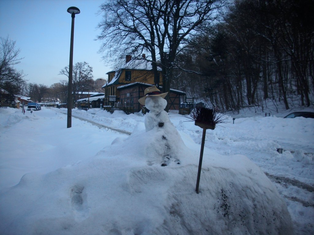 Aus Langeweile baute das Lokpersonal diesen Schneemann am Ghrener
Lokschuppen.Aufgenommen am 06.Februar 2010.