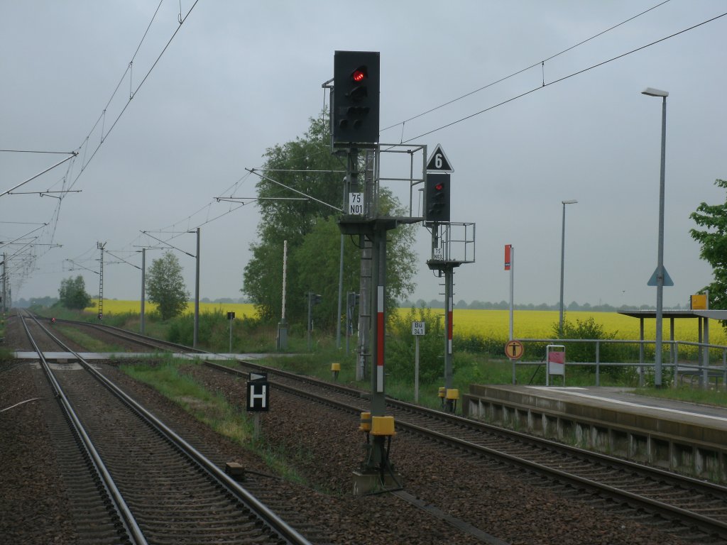 Ausfahrsignale in Altenwillershagen Richtung Rostock am 20.Mai 2013.