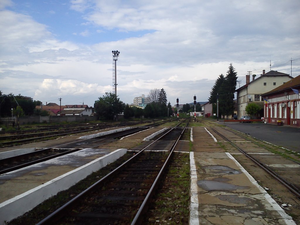 Ausfahrt aus Bahnhof Targu Mures in Richtung Reghin am 15.06.2013.