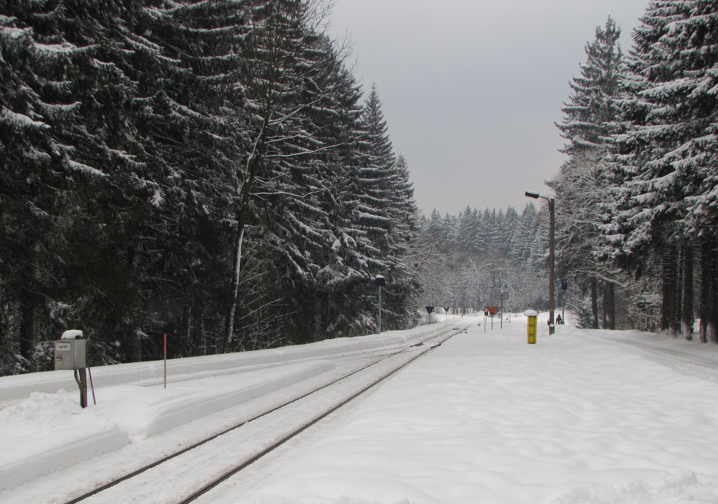 Ausfahrtsgleise am 29.03.2013 in Drei Annen Hohne. Das linke Gleis fhrt als Harzquerbahn nach Nordhausen, das rechte Gleis als Brockenbahn hinauf zum Brocken.