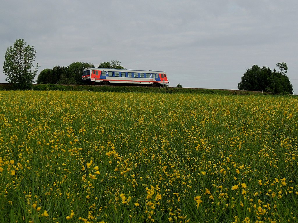 Ausgeblht hat nicht nur das Rapsfeld, sondern wohl auch die Hausruckbahn, um die es dzt. einige Einstellungsgerchte gibt; (5047065-7 als R3466; 120513