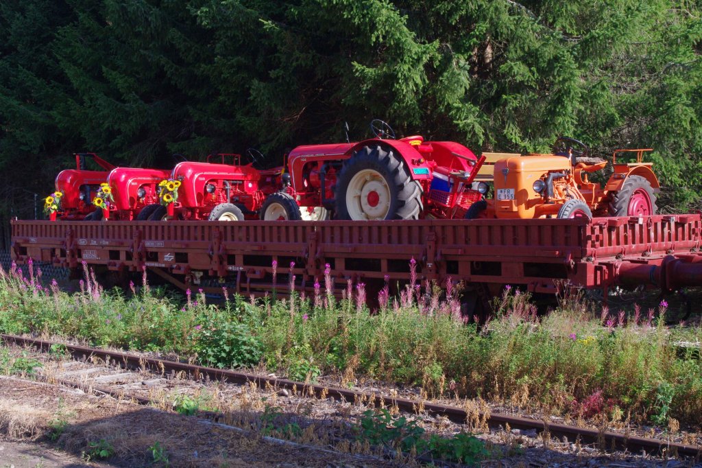 AVG Niederbordwagen mit historischen Traktoren am 12.08.12 auf dem Bahngelände der IG 3-Seenbahn in Seebrugg.