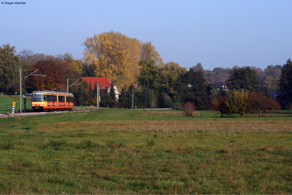 AVG TW 819 als S31 von Odenheim nach Baden-Baden. Aufgenommen am 24.10.2012 bei Odenheim.