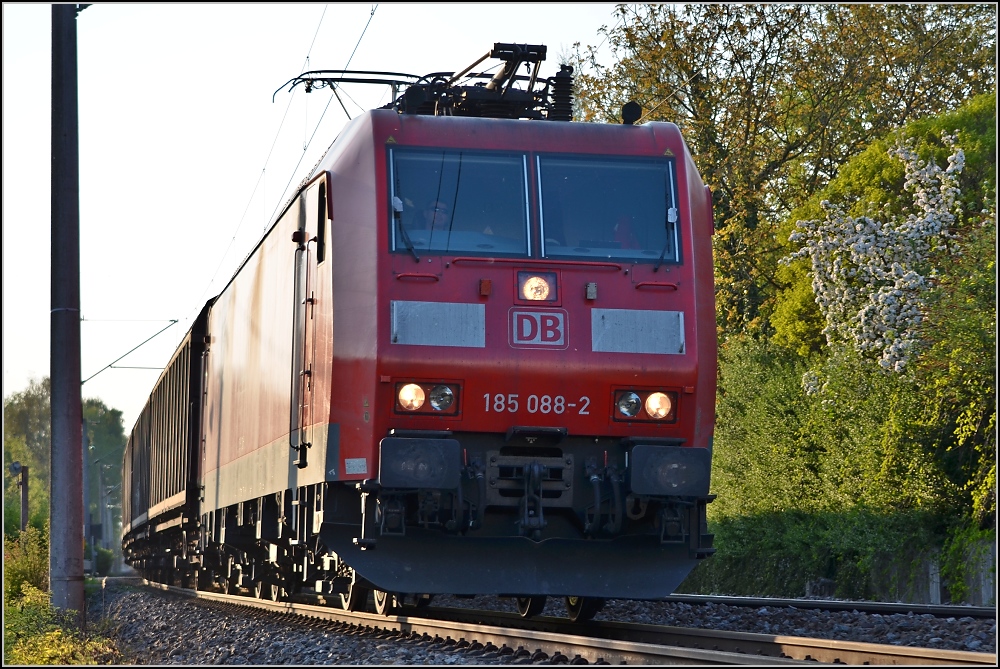 Badische Hauptbahn, die letzten Kilometer (XIII). 185 088-2 donnert mit ihrem G�terzug und hoher Geschwindigkeit durch Allensbach. April 2011.