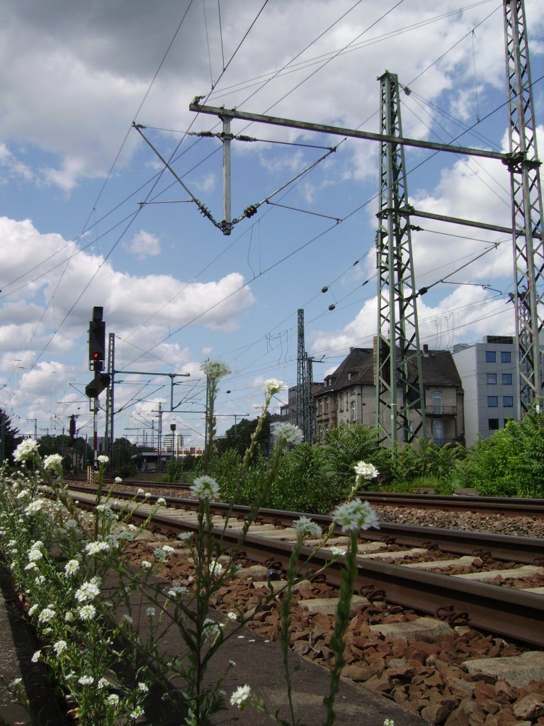 Bahnanlage in Frankfurt am Main am 11.06.11 durch einen Zaun am Bahndamm geknipst 