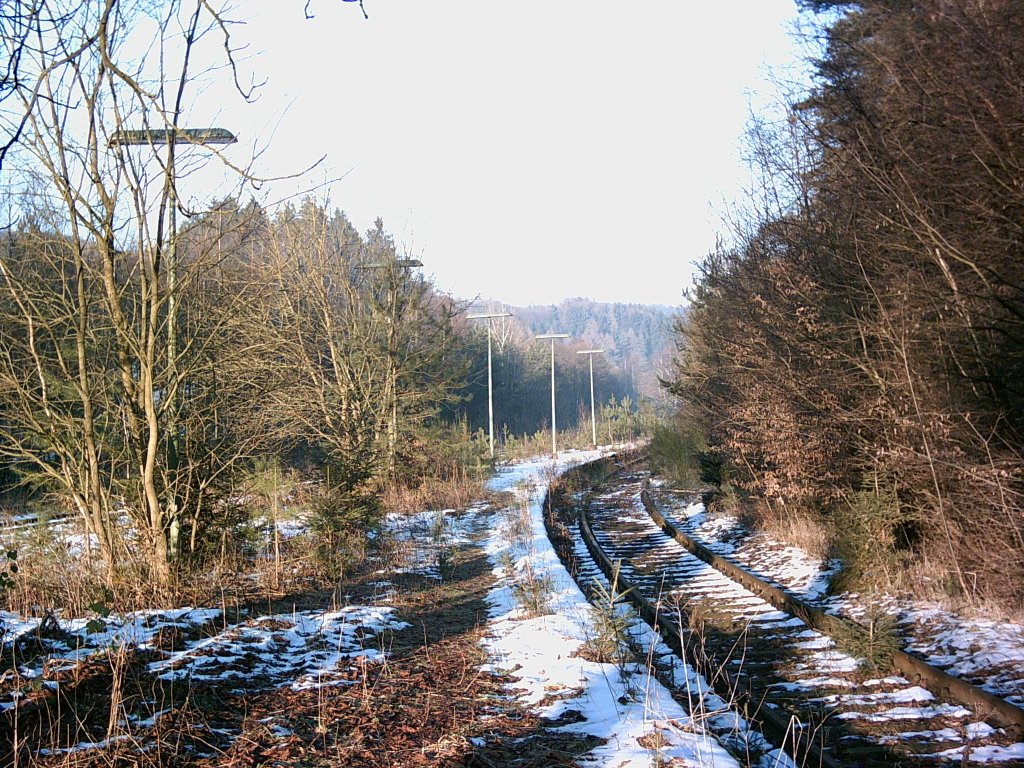 Bahnhof Grenzau / Bahnsteig Richtung Hhr Grenzhausen
Stand Januar 2006