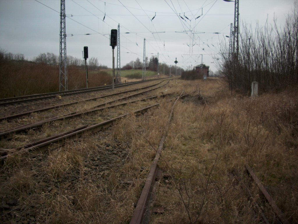 Bahnhof Sagard mit den ehmaligen Zufahrtsgleisen zur Ladestrae die bereits unter Gestrpp verschwinden.