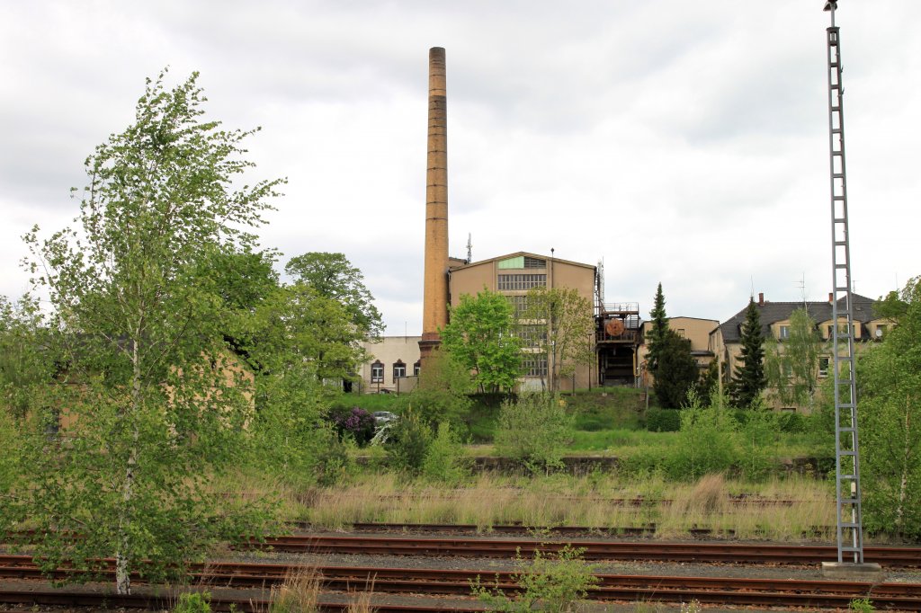 Bahnhof Zittau, 17.05.2010: Frher standen hier Gter- und abgestellte Personenzge. Jetzt holt sich die Natur den Bahnhof zurck. Und sie kommt dabei gut voran.