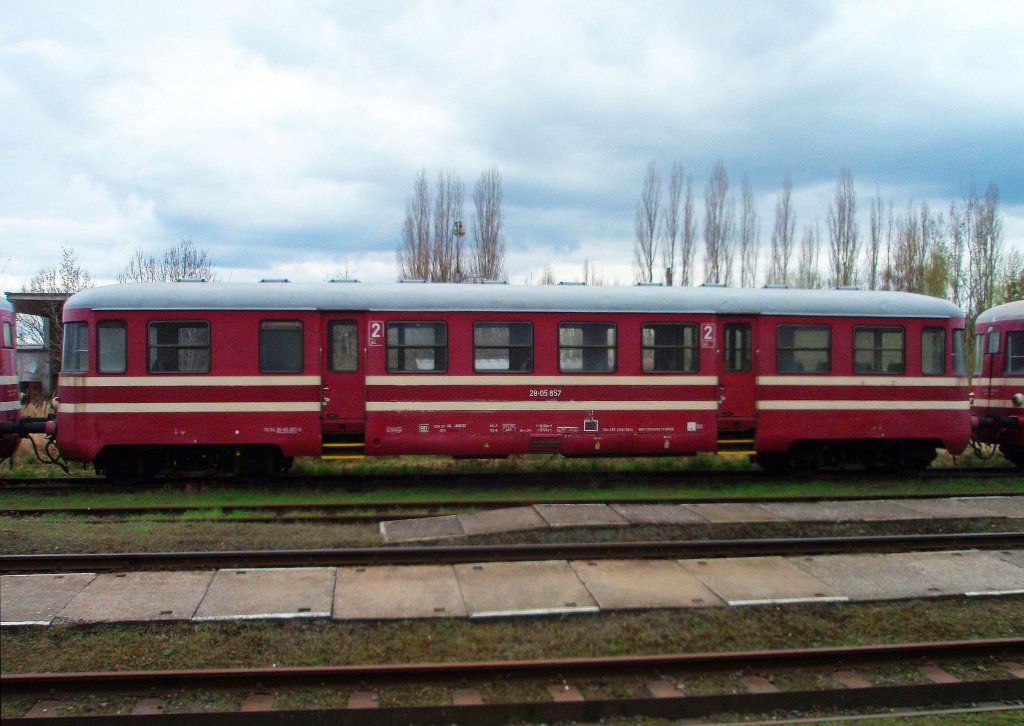 Balm 28-05 657 am 22.4.2012 in Uhl�řsk� Janovice.