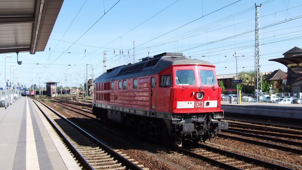Baureihe 233 127-0 in Angermnde 30.4.2011