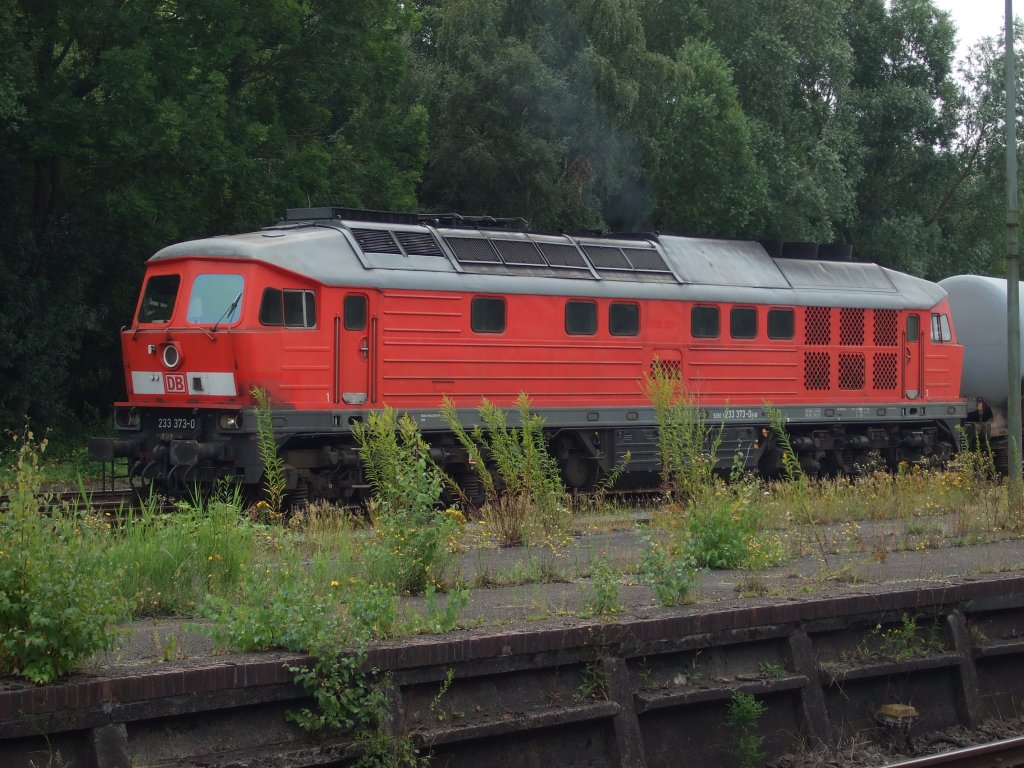 Baureihe 233 373-0 steht am 07.08.2010 mit einem Kesselwagenzug hinter dem Bahnhof Sande.