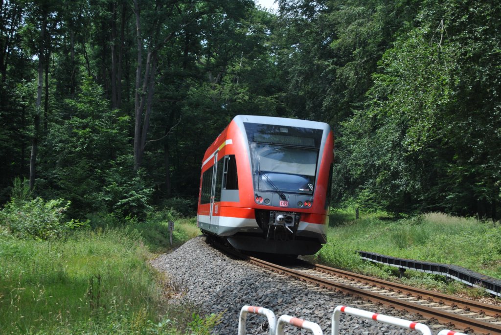Baureihe 646 fhrt an einem schnen Sommer Nachmittag durch den Buchschlager Wald richtung Dreieich Buchschlag Bf. Aufgenommen am 24.06.2011.