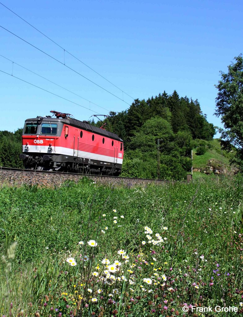 BB 1144 267-2 auf Lokfahrt Richtung Nrnberg, KBS 880 Passau - Nrnberg, fotografiert bei Kleinalfalterbach am 25.05.2012