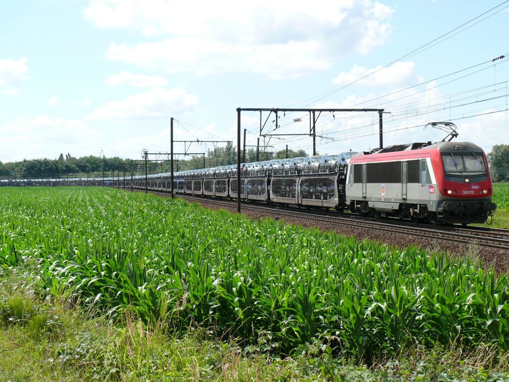 BB36013 der SNCF zieht einen langen Autoganzzug (Peugeot) ber die grosse Schleife bei Ekeren in Richtung Antwerpen-Hafen. Aufgenommen am 17/07/2010.