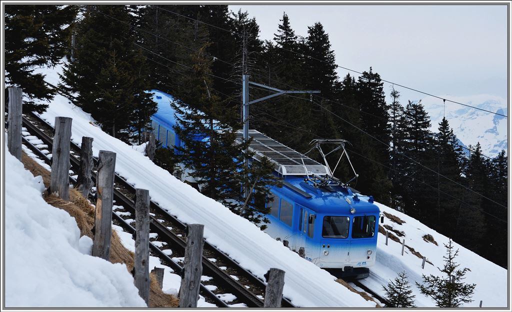BDhe 2/4 12 auf dem Weg nach Rigi Kulm. Das Gleis im Vordergund wird von den Zgen der Vitznau Rigi Bahn bentzt. (04.04.2013)