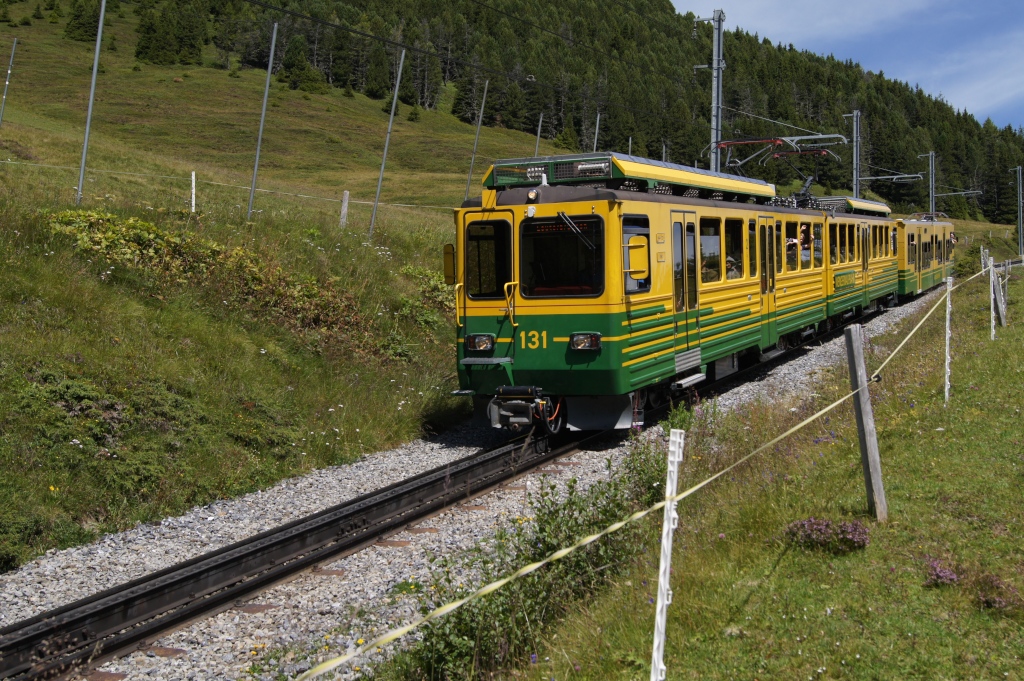 BDhe 4/8 131 und Bt 251 fahren am 13.8.11 unterhalb der Kleinen Scheidegg talwrts.