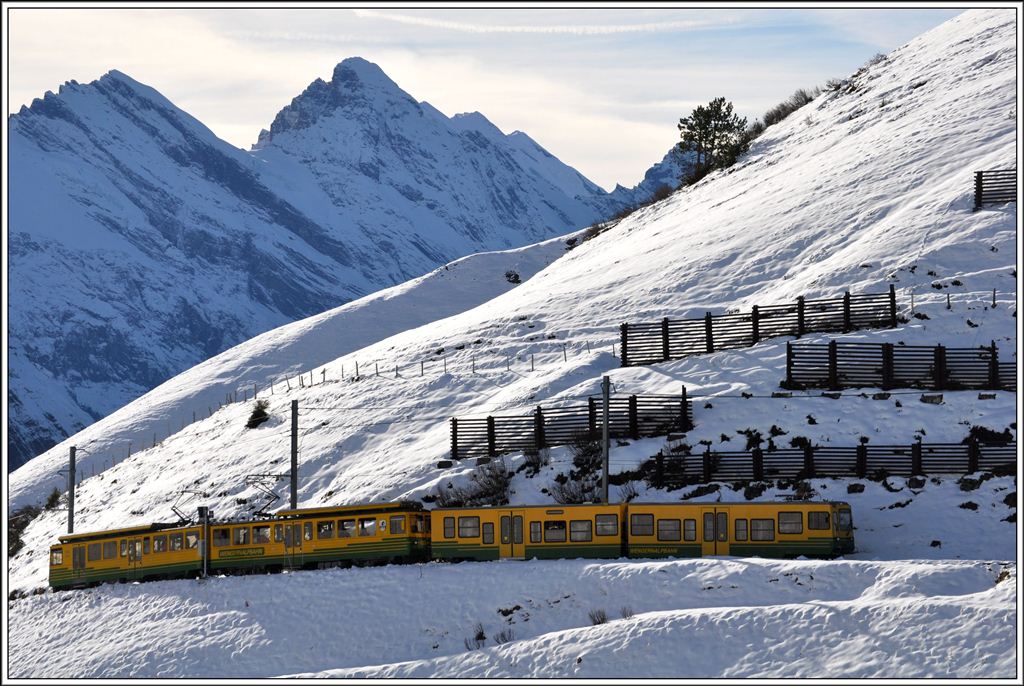 BDhe 4/8 133 und 6-achsiger Bt zwischen Kleine Scheidegg und Wengernalp. (13.11.2012)