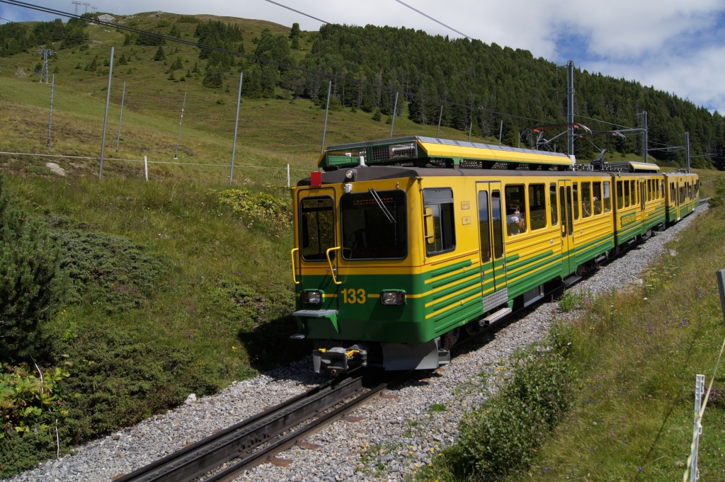 BDhe 4/8 133 fhrt am 13.8.11 gemeinsam mit dem Bt 253 von der Kleinen Scheidegg Richtung Wengernalp.