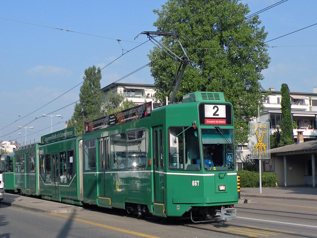 Be 4/6 S mit der Betriebsnummer 667 an der Haltestelle Zoo Dorenbach auf der Linie 2. Die Aufnahme stammt vom 04.09.2010.