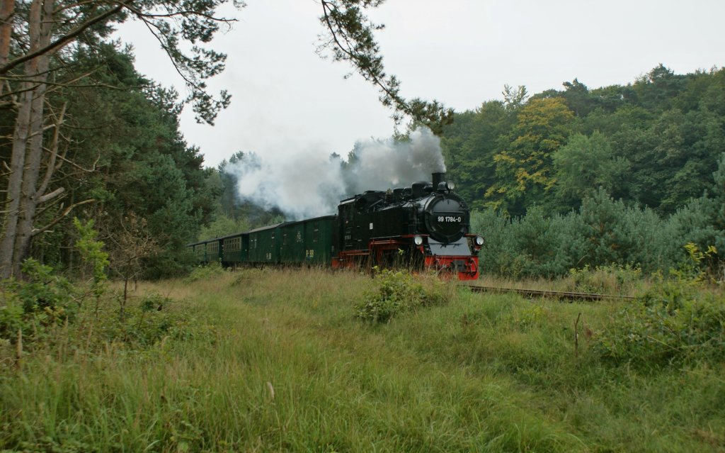 Begegnung im Wald: Der Roland rast in Richtung Binz.
(20.09.2010) 
