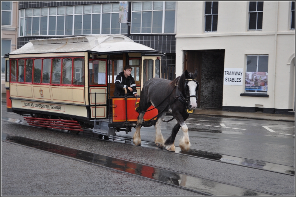 Bei allzu garstigem Wetter werden geschlossene Tramwagen eingesetzt. Hier in Derby Castle sind die Pferde untergebracht. Der Eingang zu den Stallungen befindet sich im Haus hinter dem Pferd. (10.08.2011)