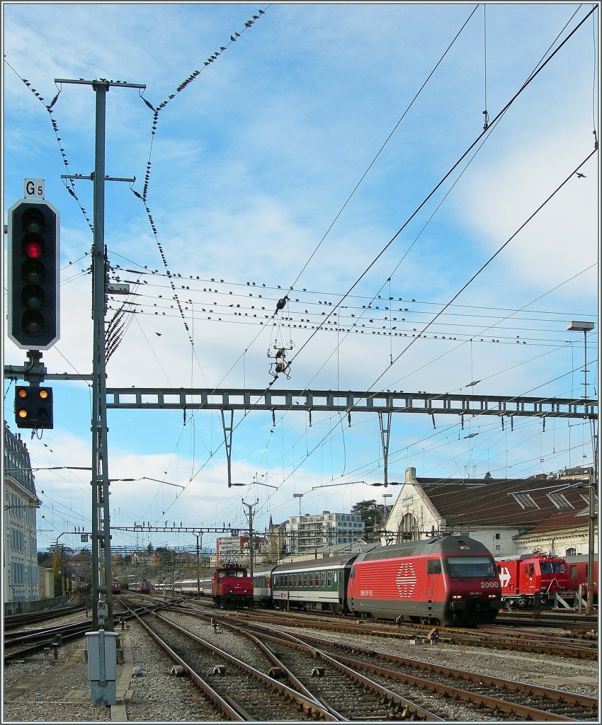 Bei diesem Bahnbild aus Lausanne sind nicht die Zge, sondern die die Fahrleitung bevlkernden Zugvgel das Interessante.
8. November 2010. 