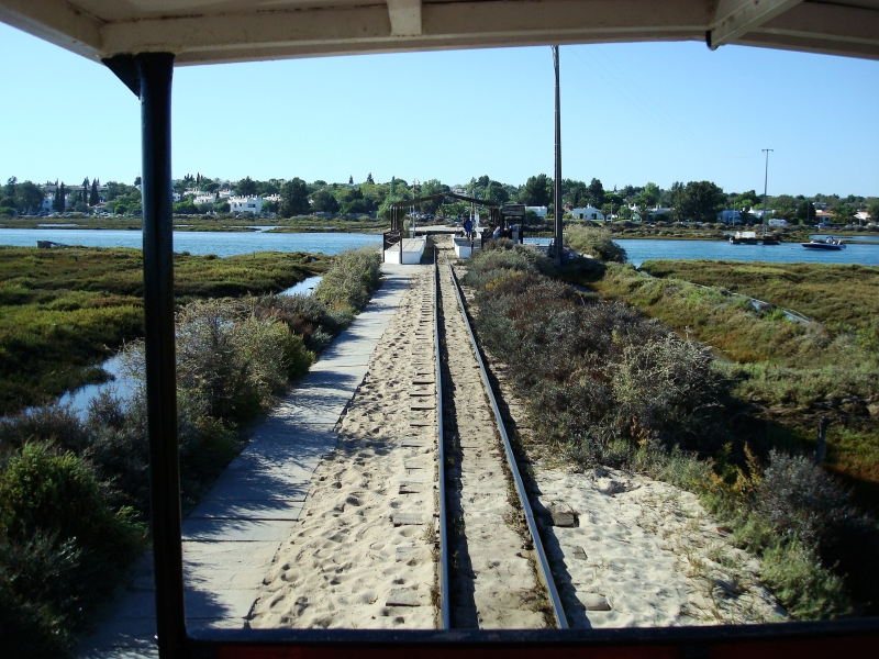 Bei Flut ist auch das Gebiet links und rechts der Gleise berschwemmt. Bei Ebbe wird selbst der Priel im Hintergrund zum Sumpfgebiet. 14.9.2008