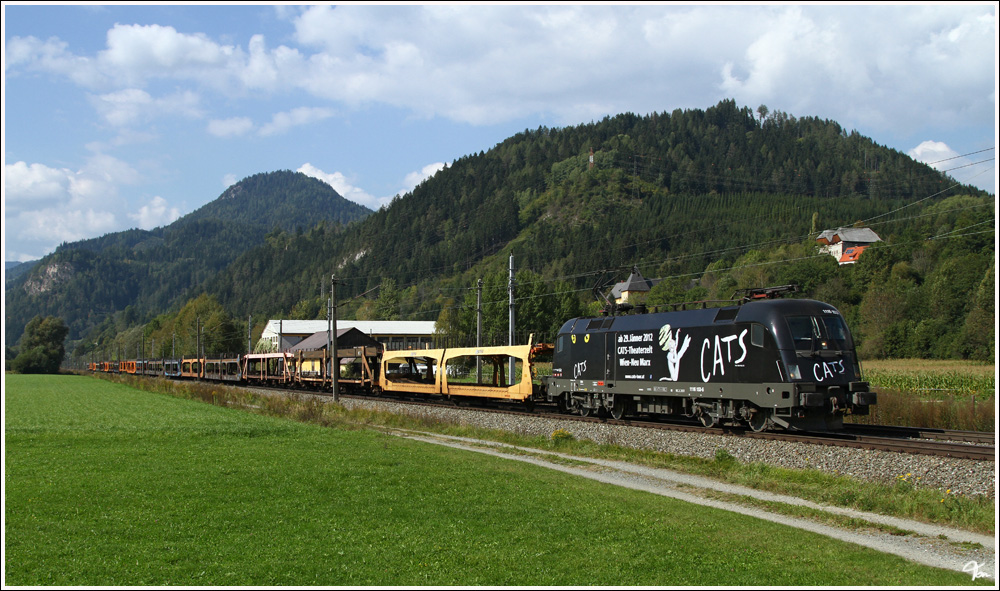 Bei idealen Wetterverh�ltnissen fuhr heute die neueste aller Werbeloks, die 1116 153  CATS  mit dem Autozug LGAG 46734 von Tarvisio nach Breclav.Danke an die vielen Vormelder :O)
Thalheim 28.9.2011