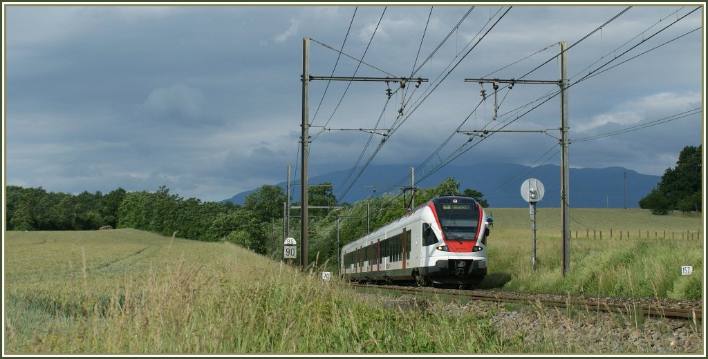 Bei Kilometer 157 zwischen Russin und Satigny kam mir dieser Flirt entgegen. 
21. Juni 2010