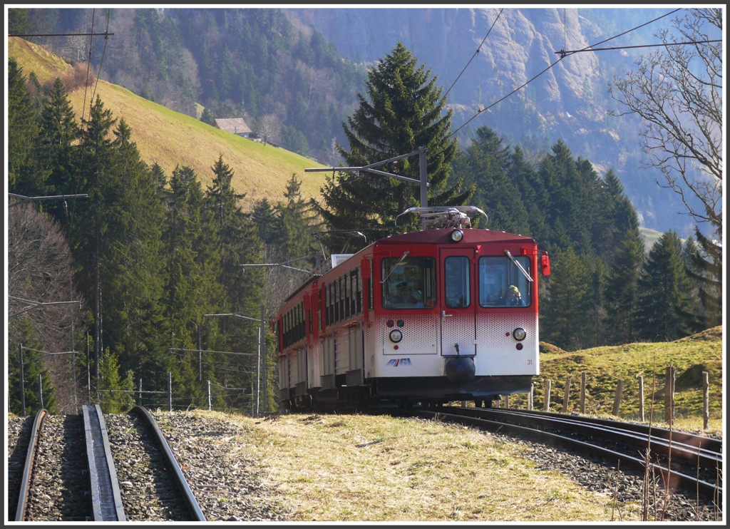 Bei Rigi Kaltbad First kommt uns der Bt 31 mit einem Bhe4 /4 entgegen. (14.02.2011)