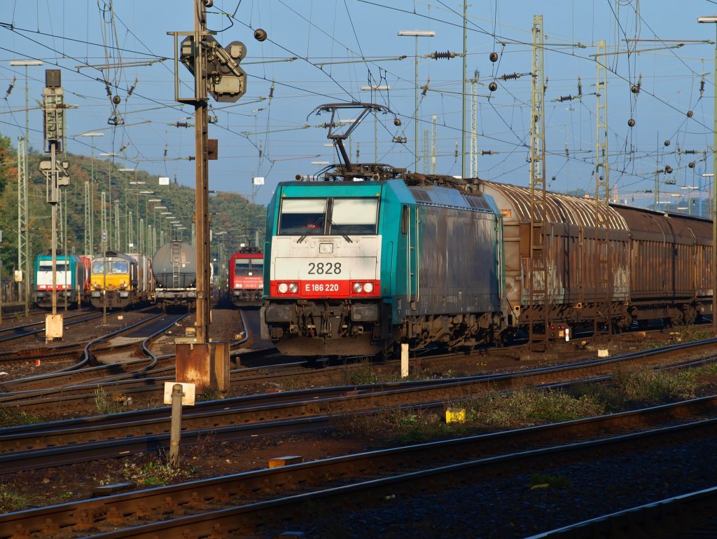 Bei schnsten Herbstwetter zieht Corba 186 220 am 08.10.2010 einen gemischten Gterzug aus Aachen West ber die Montzenroute nach Belgien. Links im Hintergrund warten Cobra 186 212, Class66 PB19 von DLC und die Schweizer 482 035-3 auf grnes Signal.