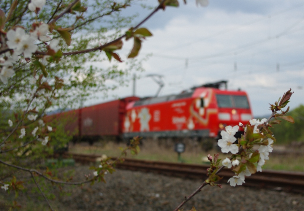 Bei so vielen Blten kann sich der Fokus manchmal nicht entscheiden. Ich fand's bei der Bildauswertung im Nachhinein aber doch ganz nett.185 142-7 bei einem Signalhalt in Eschwege West. Aufgenommen am 16.04.2011.
