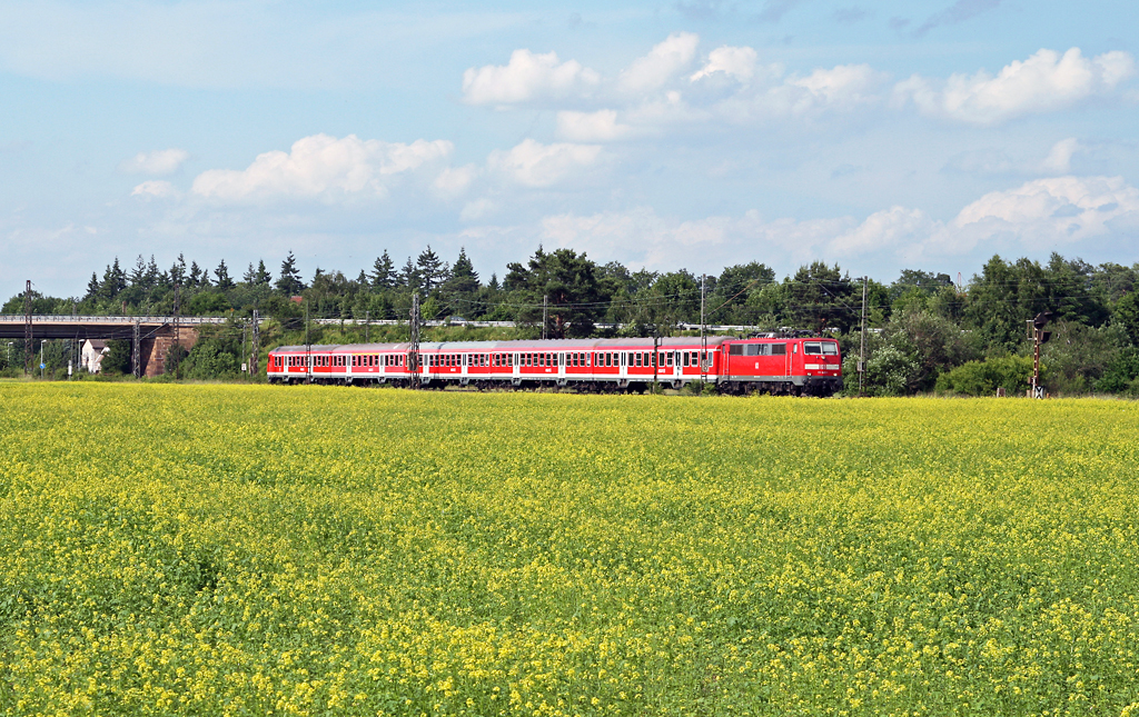 Beim Radeln entlang meiner Hausstrecke fiel mir am 11. Juni 2010 ein herrlich blhendes Senffeld auf, das ich dann mit einer lokbespannten Regionalbahn umsetzen wollte. Zur Nachmittagszeit beschleunigt die Ludwigshafener 111 045 die versptete RB 18691 von Mannheim nach Karlsruhe nach dem Zwischenhalt in Waghusel in Richtung Wiesental. Hier kam es mir sehr zugute, dass alle lokbespannten Regionalbahnen auf der KBS 700 mit Versptung unterwegs sind, denn sonst wre es mit der Sonne nichts geworden :-)