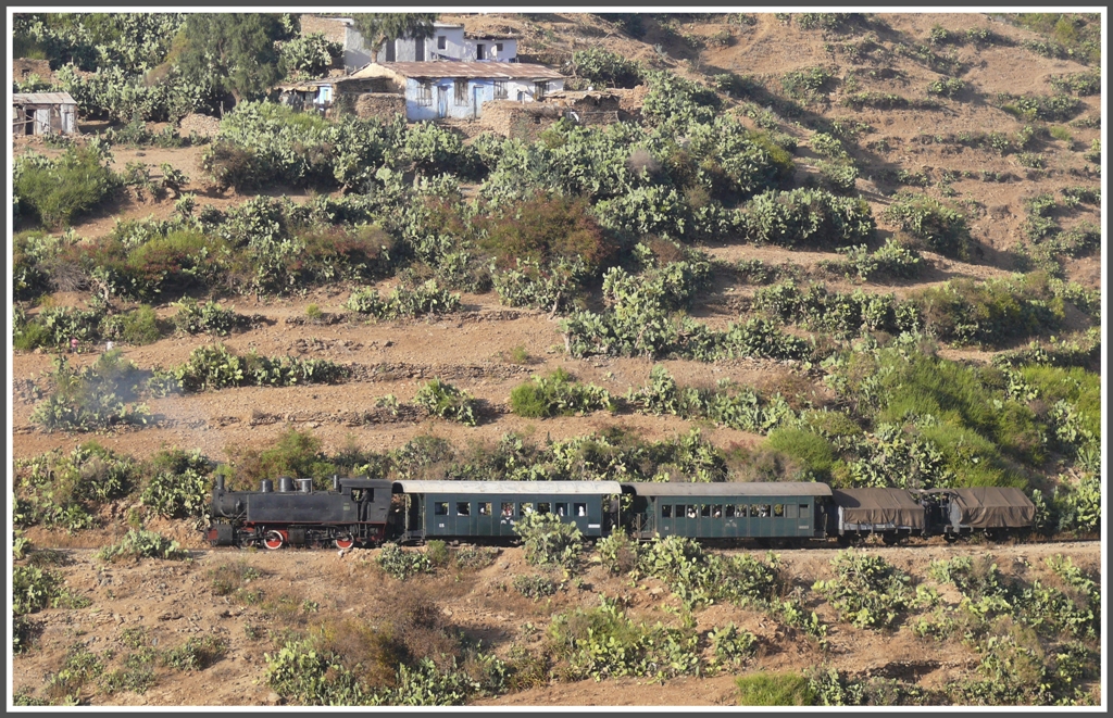 Bergfahrt der 442.59 durch die steil abfallenden Kakteenhnge zwischen Arbaroba und Shegerini. (02.02.2012)