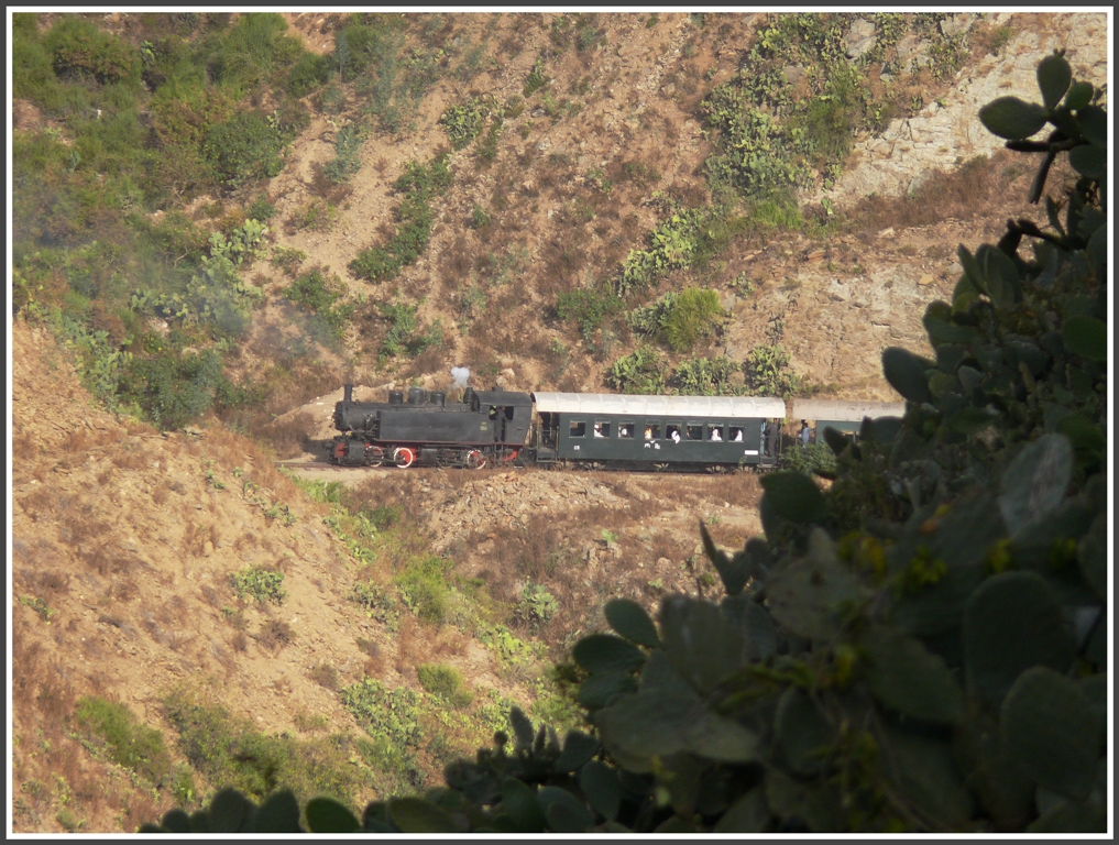 Bergfahrt der 442.59 durch die steil abfallenden Kakteenhnge zwischen Arbaroba und Shegerini. (02.02.2012)