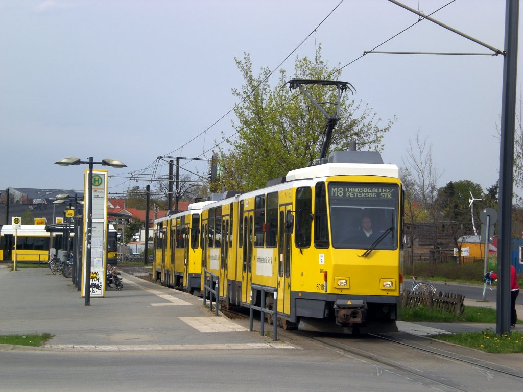 Berlin: Straenbahnlinie M8 nach Friedrichshain Landsberger Allee/Petersburger Strae an der Haltestelle Ahrensfelde.(20.4.2010)